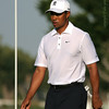 Alex Gomez > Tiger Woods