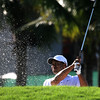 Alex Gomez > Tiger Woods