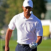 Alex Gomez > Tiger Woods