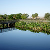 Alex Gomez > South Florida wildlife reserve