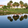 Alex Gomez > Doral's Silver course, Doral Florida