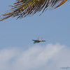 Alex Gomez > 2005 Air and Sea Show, Fort Lauderdale Beach photo