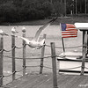 Alex Gomez > Flag and Gull