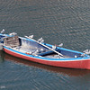 Alex Gomez > birds on a boat