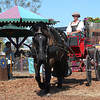 Alex Gomez > 2006 Florida Renaissance Festival, Deerfield Beach photo