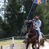 Alex Gomez > The King enters the jousting tournament